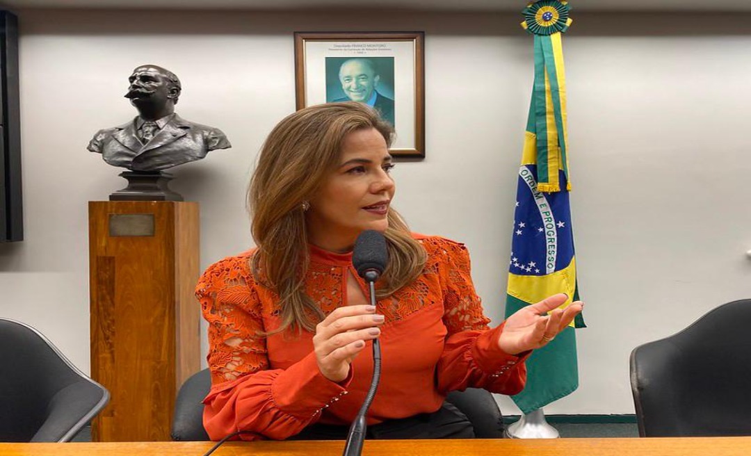 Mara Rocha participa de audiência pública sobre projeto de Política Nacional de Economia Solidária